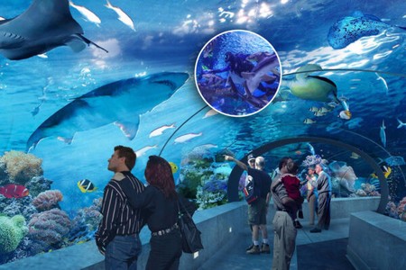 antalya aquarium tour from okurcalar 1