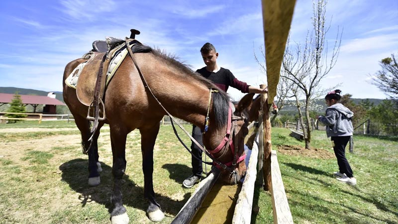OKURCALAR horse ranch, horse riding