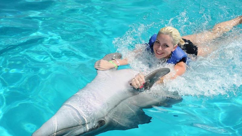 Okurcalar dolphin park price
