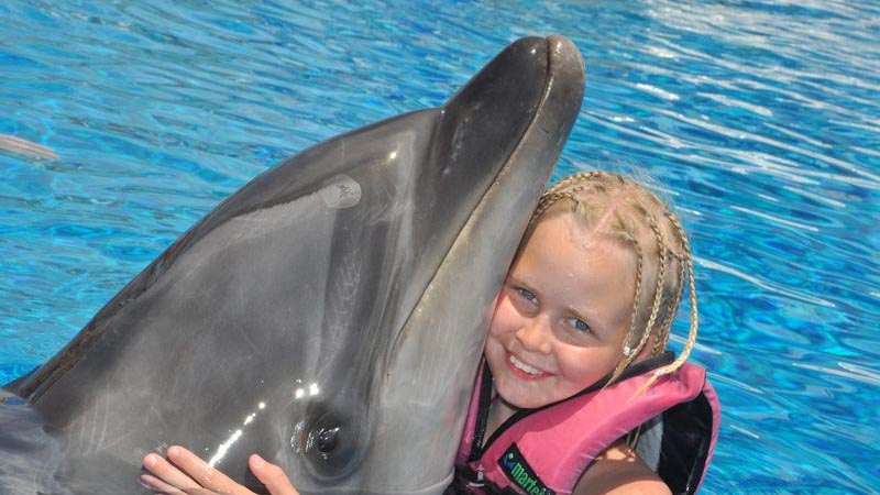 swimming with dolphins prices Okurcalar
