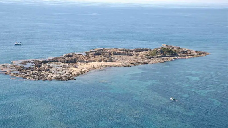 okurcalar-dolphin island