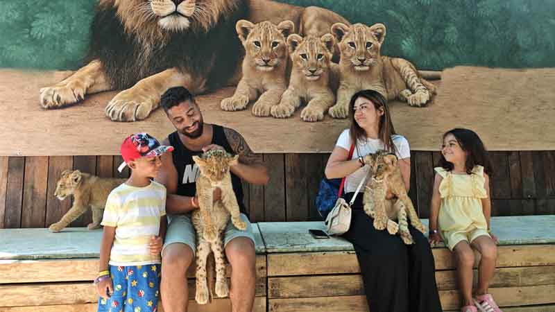 photo with lion cubs in okurcalar