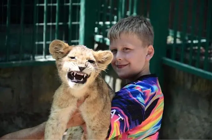 photo with lions in okurcalar