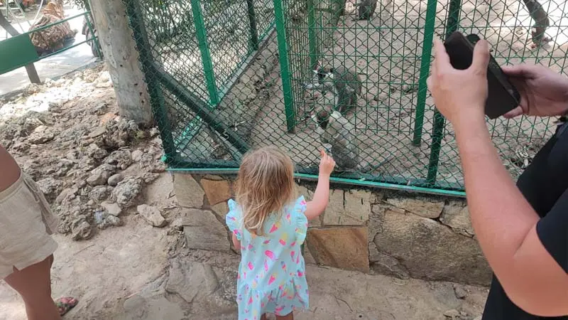 Okurcalar zoo-park