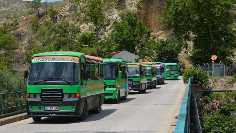 okurcalar safari green bus