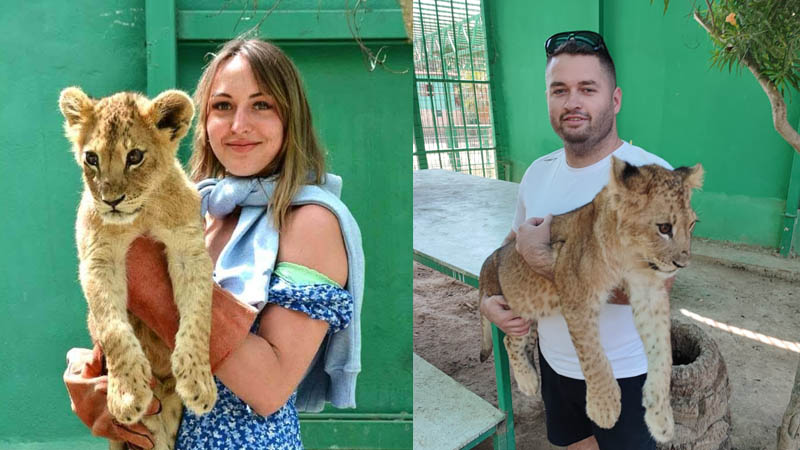 photo with lion Okurcalar