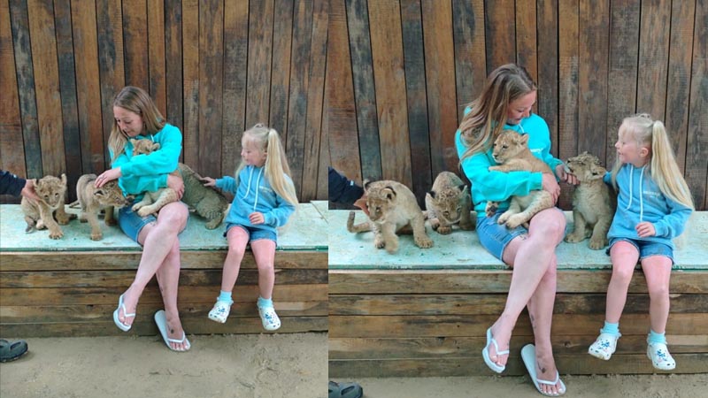 photo with lion cub in okurcalar